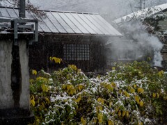 PENTAX 645D初撮り4