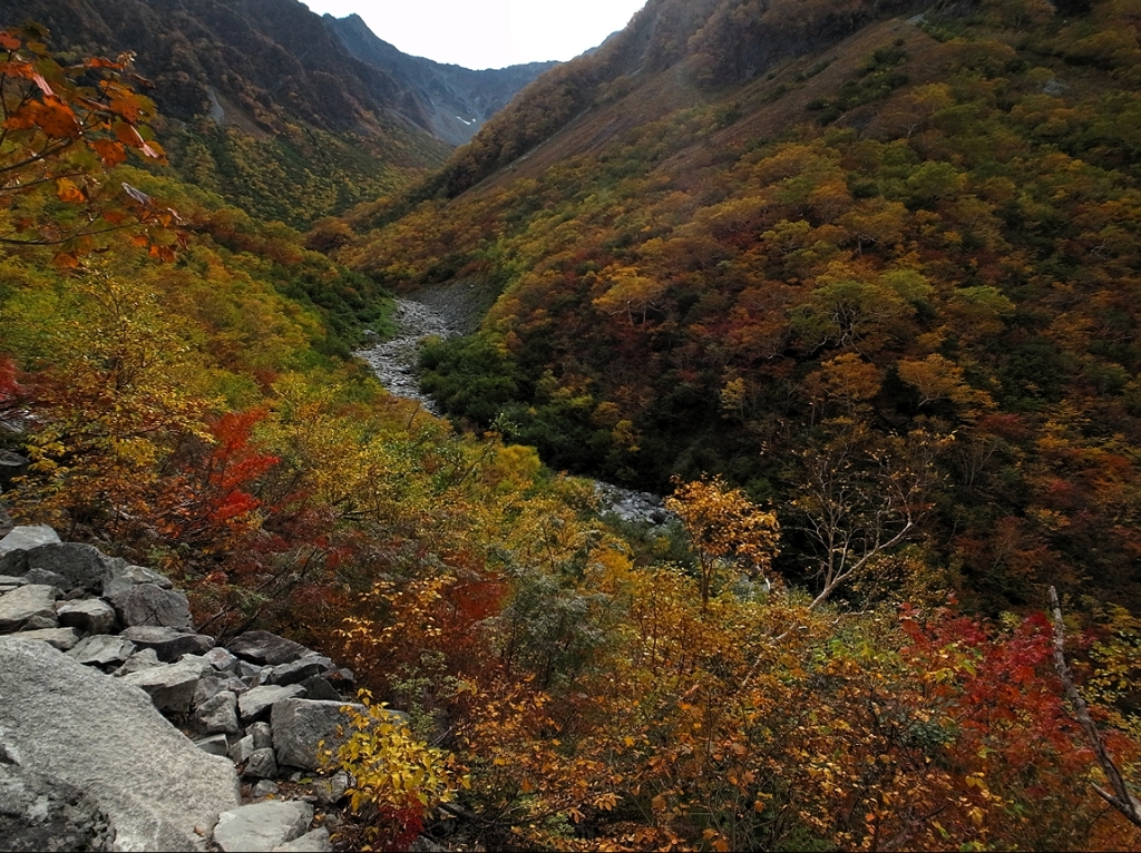 サヨナラGR IV　40 GRで撮った涸沢07
