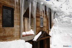 立山室堂平にて 9