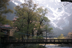 春の涸沢01