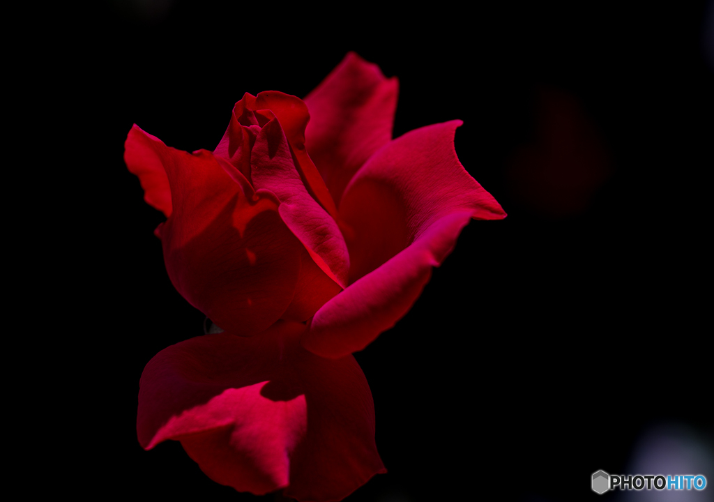 王妃アントワネット　２