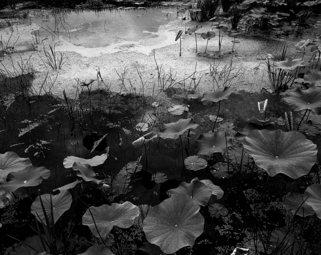 サヨナラGRIV　16