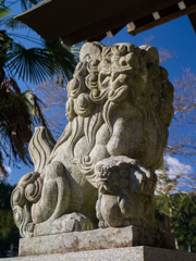 白鬚神社10