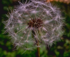 サヨナラGRIV　４