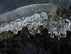 御岳山ロックガーデンの氷の世界16