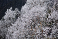 西穂高山荘周辺02