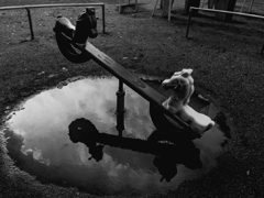 サヨナラGRIV　13