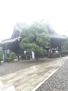 雨の成田山