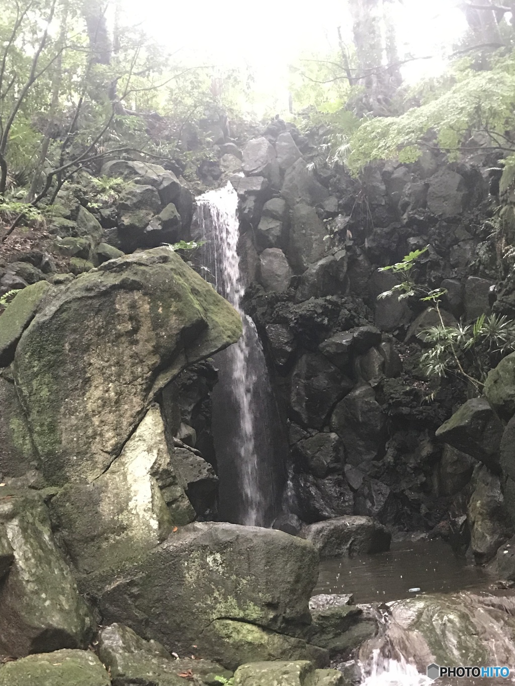 成田山の中にある滝
