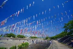 春の終わり夏の始まり