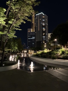 夜の散歩①