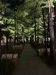 夜の散歩②