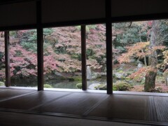 蓮華寺