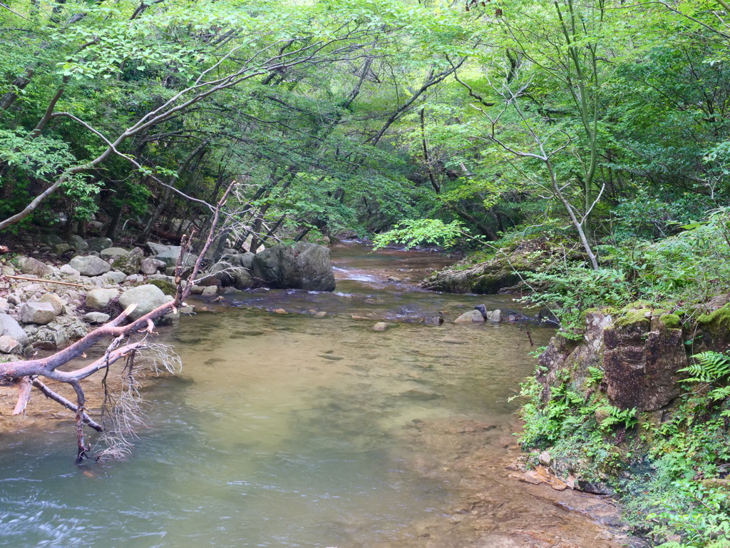 蓬山狭主流