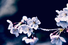 92CCA978-4B1B-4F36-B943-A65311FC63F5
