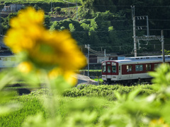 0D52778A-7883-4659-8DB5-22E572F35C8B