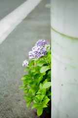 5F71B903-0811-4500-AF98-C47349BFA74D