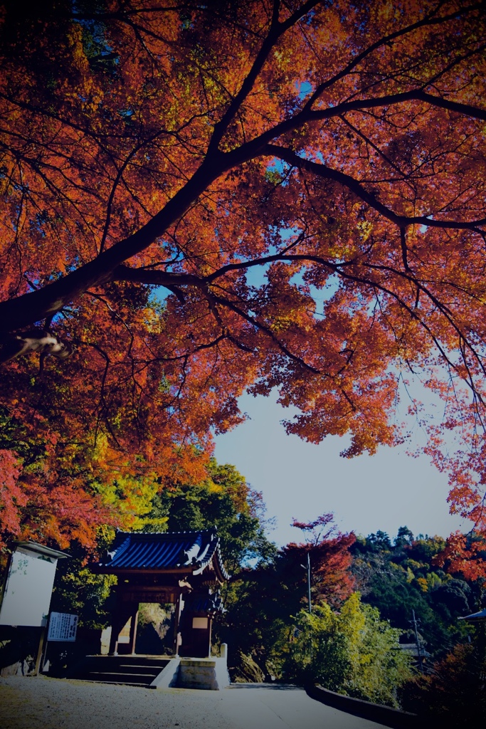 834A0B44-EF0F-405B-BB54-1D7F6E94EF71