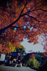 834A0B44-EF0F-405B-BB54-1D7F6E94EF71
