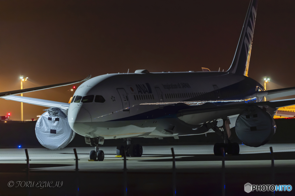 Jet airliner