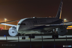 Jet airliner