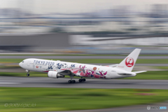 Jet airliner