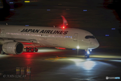 Jet airliner