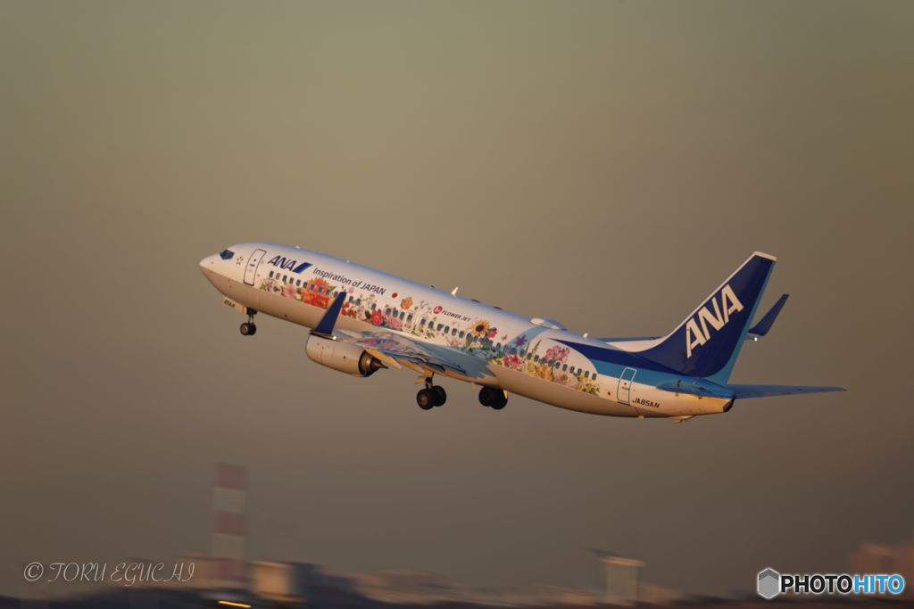 Jet airliner