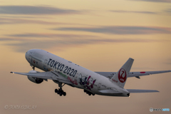 Jet airliner
