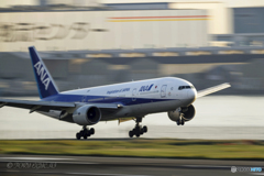 Jet airliner