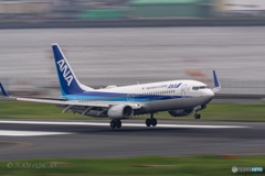 Jet airliner