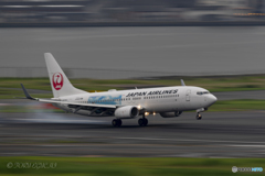 Jet airliner