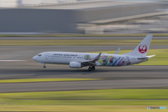 Jet airliner