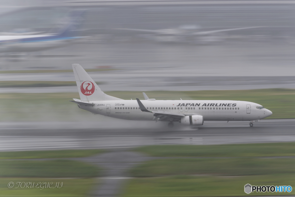 Jet airliner