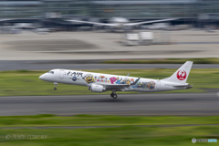 jet airliner