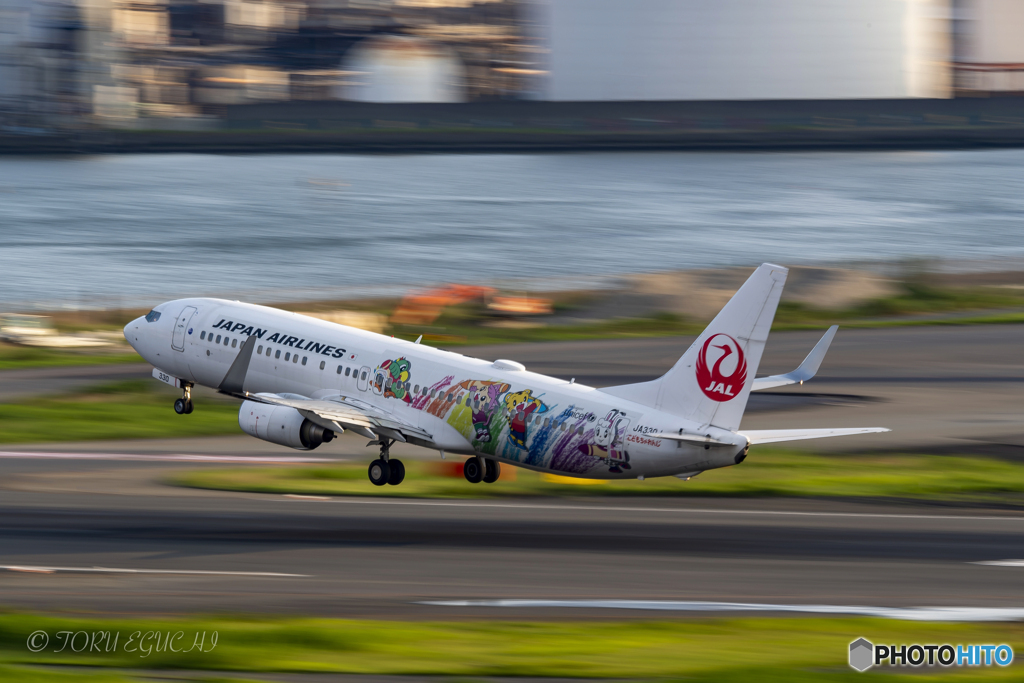 Jet airliner