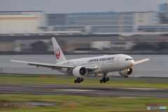Jet airliner