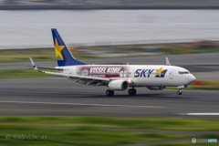 Jet airliner