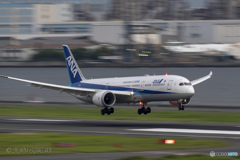 Jet airliner