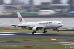 Jet airliner