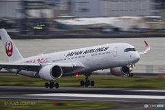 Jet airliner