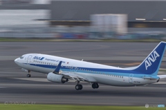 Jet airliner
