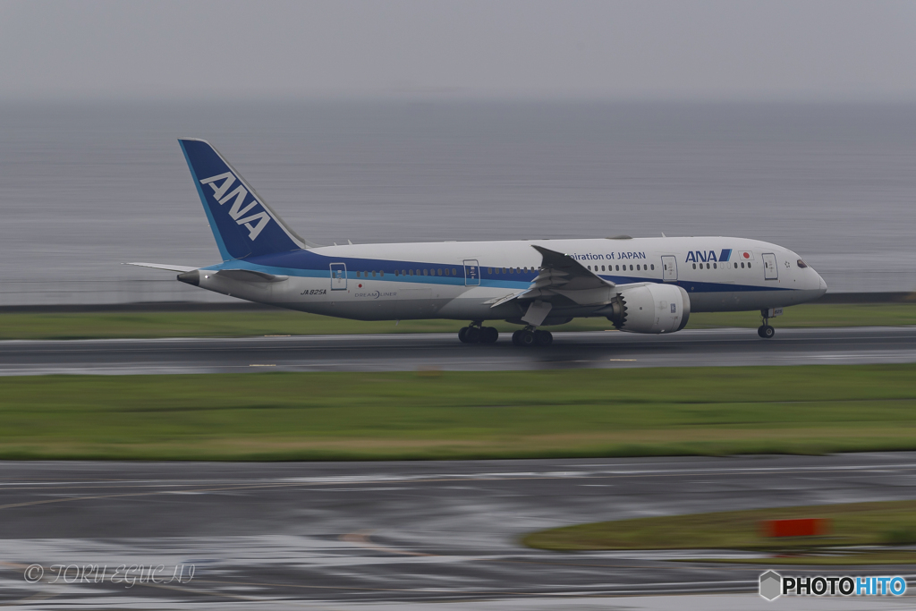 Jet airliner