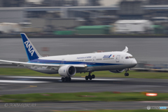 Jet airliner