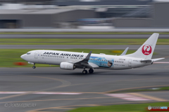 Jet airliner
