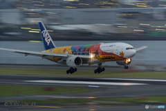Jet airliner