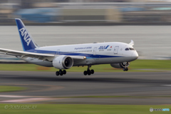 Jet airliner
