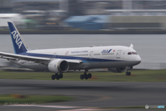 Jet airliner