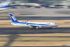 Jet airliner