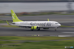 Jet airliner